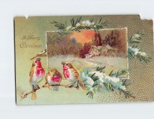 Postcard A Merry Christmas with Birds Art Print