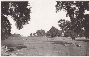 Butts Close Hitchin Antique Hertfordshire Postcard