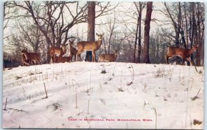 Postcard - Deer in Minnehaha Park, Minneapolis, Minnesota, USA