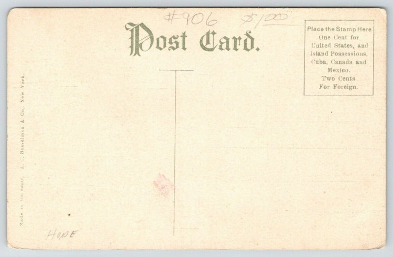 Minneapolis Minnesota~Electric Steel Elevator Co~Row of Elevators~c1910 Postcard