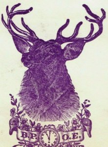 1880's Scrap Or Card Fraternal Elks B. P. O. E. No.208 Ashtabula OH P153