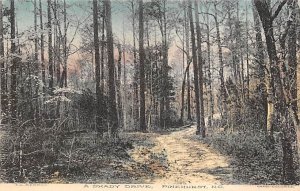 A Shady Drive Pinehurst, North Carolina NC  