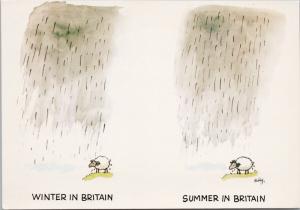Rain Sheep Winter & Summer In Britain UK Comic Funny UNUSED Dixon Postcard D59