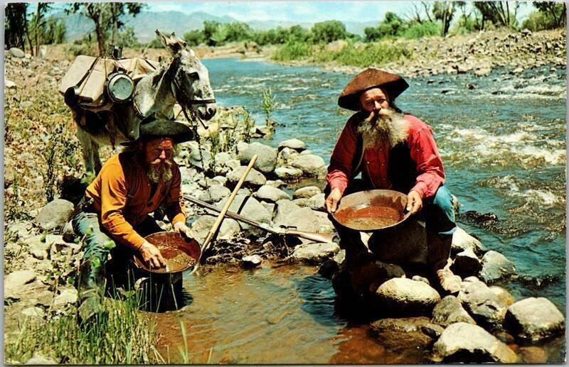 1969 Two Men Cowboy Hats Panning Gold River Stream Donkey Vintage  Postcard