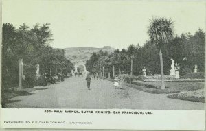 C.1910 Palm Avenue, Sutro Heights, San Francisco, Cal. Postcard P97