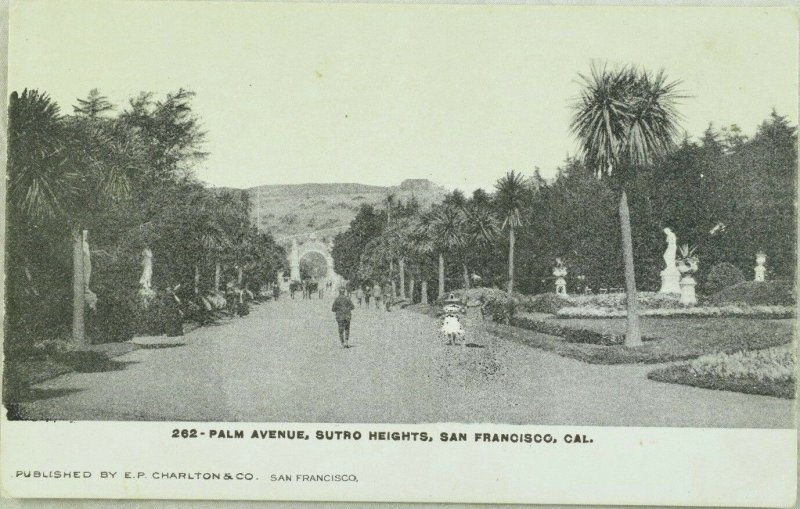 C.1910 Palm Avenue, Sutro Heights, San Francisco, Cal. Postcard P97