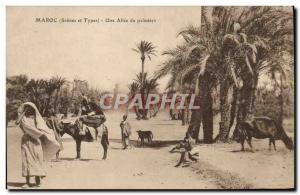 Old Postcard From Morocco a Allee Palmiers