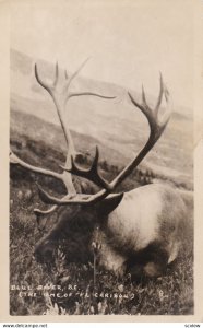 RP: Hunting, Cariboo , BLUE RIVER , B.C. , Canada, 1920-30s