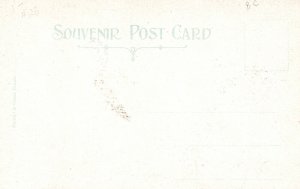 Vintage Postcard 1900's Illecillewaet Glacier Canadian Rockies B. C. Canada CAN