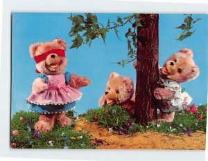 Postcard Three Bears Playing Hide And Seek