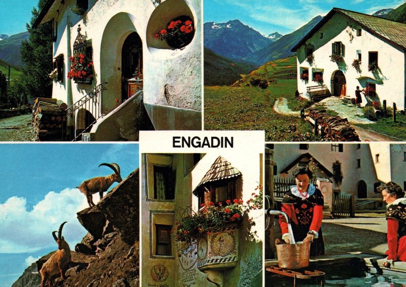 VINTAGE CONTINENTAL SIZE POSTCARD MOUNTAINIS ENGADI SWITZERLAND