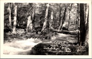 Real Photo Postcard The Guadalupe River in Kerrville, Texas