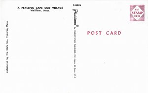 A Peaceful Cape Cod Village Wellfleet Massachusetts