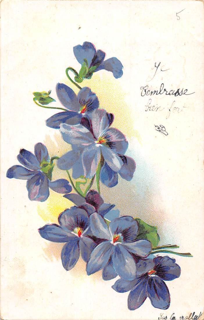 Je T Embrasse Tres Fort I Hug You Strongly Fleurs Flowers 1904 Hippostcard