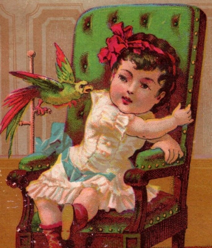 1880s C.A. Dorney & Co. Fine Furniture Adorable Girl & Parrot Attack P60