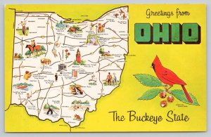 Postcard Ohio OH State Map Buckeye Cardinal Dexter 1950s Chrome View