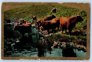 Vermillion South Dakota SD Postcard Scene Buffalo Cow Lake River c1910 Vintage