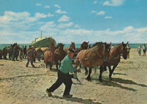 Netherlands Postcard - Ameland - Hollum - De Reddingboot Wodt Uit Zee... RR9360