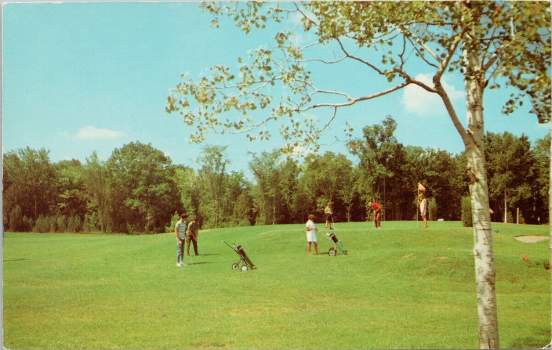 Golfing at Crowe's Landing Stony Lake Golf Course Kawartha Region Postcard G29