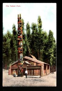 Native American Indian Totem Pole Lodge 1908 postcard