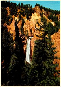 Yellowstone National Park Tower Falls