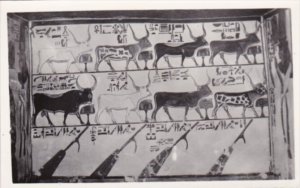 Egypt Thebes Tomb Of Queen Nefert-Art Photo