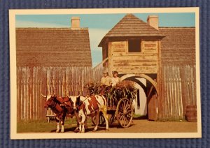 Old Fort William Oxen Pulling Cart Thunder Bay Ontario Postcard