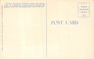 He'p yo'se'f to Grapefruit from Sunny Florida, USA  