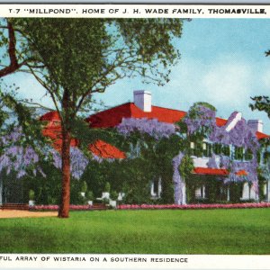c1940s Thomasville, GA Millpond Home of J.H Wade Family House Wistaria Vine A218