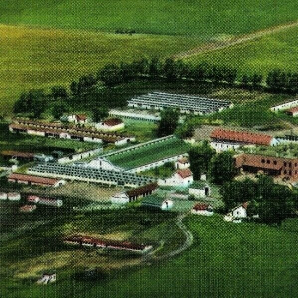 Vintage Birds Eye View Fort Dodge Serum, CO. Postcards F103 