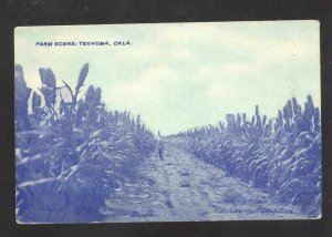 FARM SCENE TEXHOMA OKLAHOMA FARMING MAUS DRUG STORE VINTAGE POSTCARD