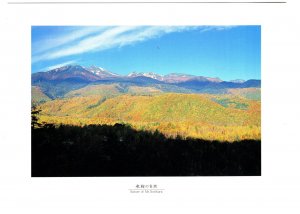 Nature of Mount Norikura, Japan,