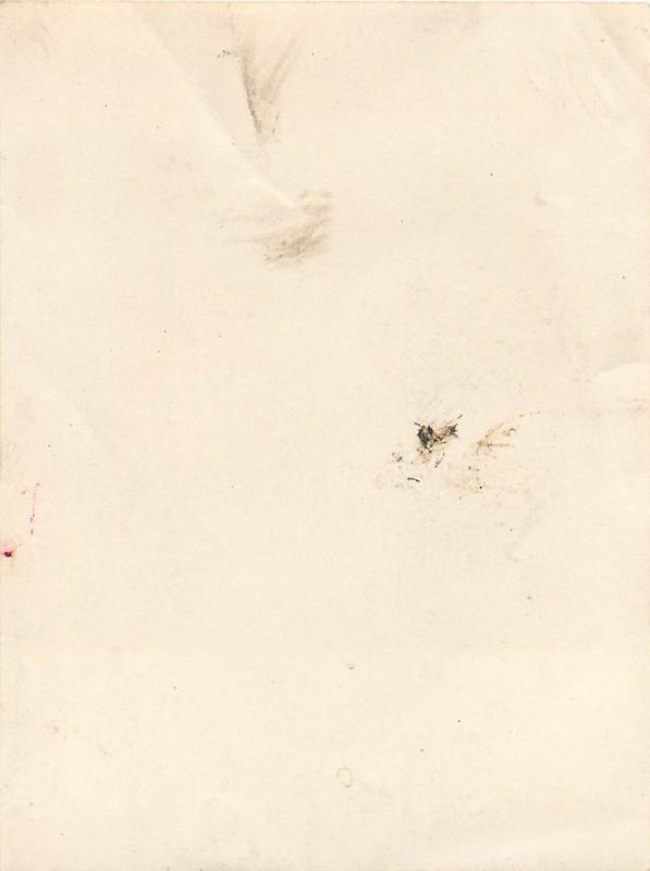 Elvis Presley 9x12cm photo