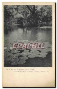 Old Postcard Lily Pond Washington Park