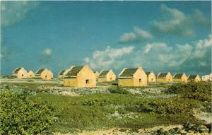 CPM AK Shelter for slaves working the salt pans CURACAO (660519)
