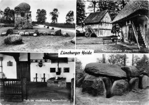 B56260 Luneburger Heide    germany