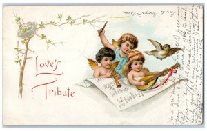 1907 Valentine Cupid Angel Banjo Trumpet Egg Nest Coketon WV Antique Postcard