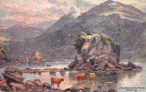 BR62723 colleen bawn rock killarney  cow vaches postcard  ireland