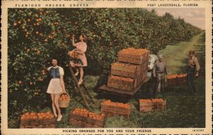 Fort Lauderdale Florida FL Pretty Girls Picking Oranges Linen Vintage Postcard