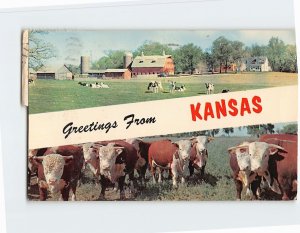 Postcard Greetings From Kansas