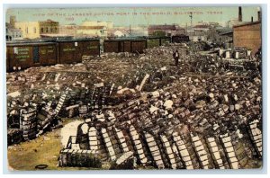 c1950 Largest Cotton Port In the World Harbor Export Galveston Texas TX Postcard