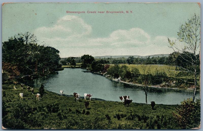 BRUYNSWICK NY SHAWANGUNK CREEK 1910 ANTIQUE POSTCARD