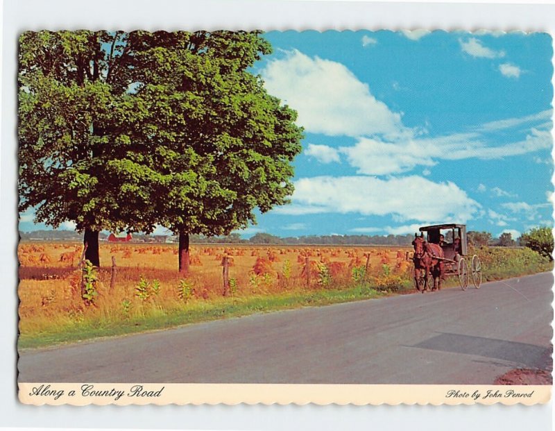 Postcard Along A Country Road Amish Farmland Northern Indiana USA