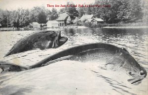 Two Fish in the Water Fishing 1913 