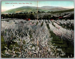Postcard Santa Clara Valley CA c1908 Orchard and Foothills BiFold Folding