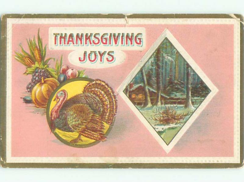 Divided-Back THANKSGIVING SCENE Great Postcard AA0528