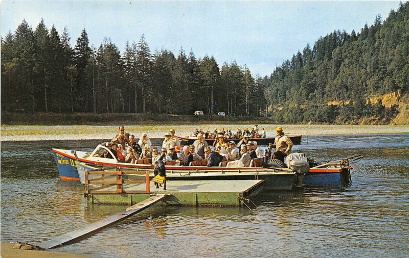 H17/ Wedderburn Agness Oregon Postcard Dog Delivers U.S. Mail Boat
