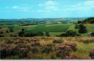 Scenic View lookout between Elizabeth and Galena Illinois Postcard