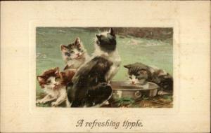 PFB Kittens Kitty Cats A REFRESHING TIPPLE c1910 Postcard