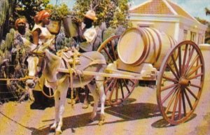 Curacao Typical Water Vendor With Donkey Cart